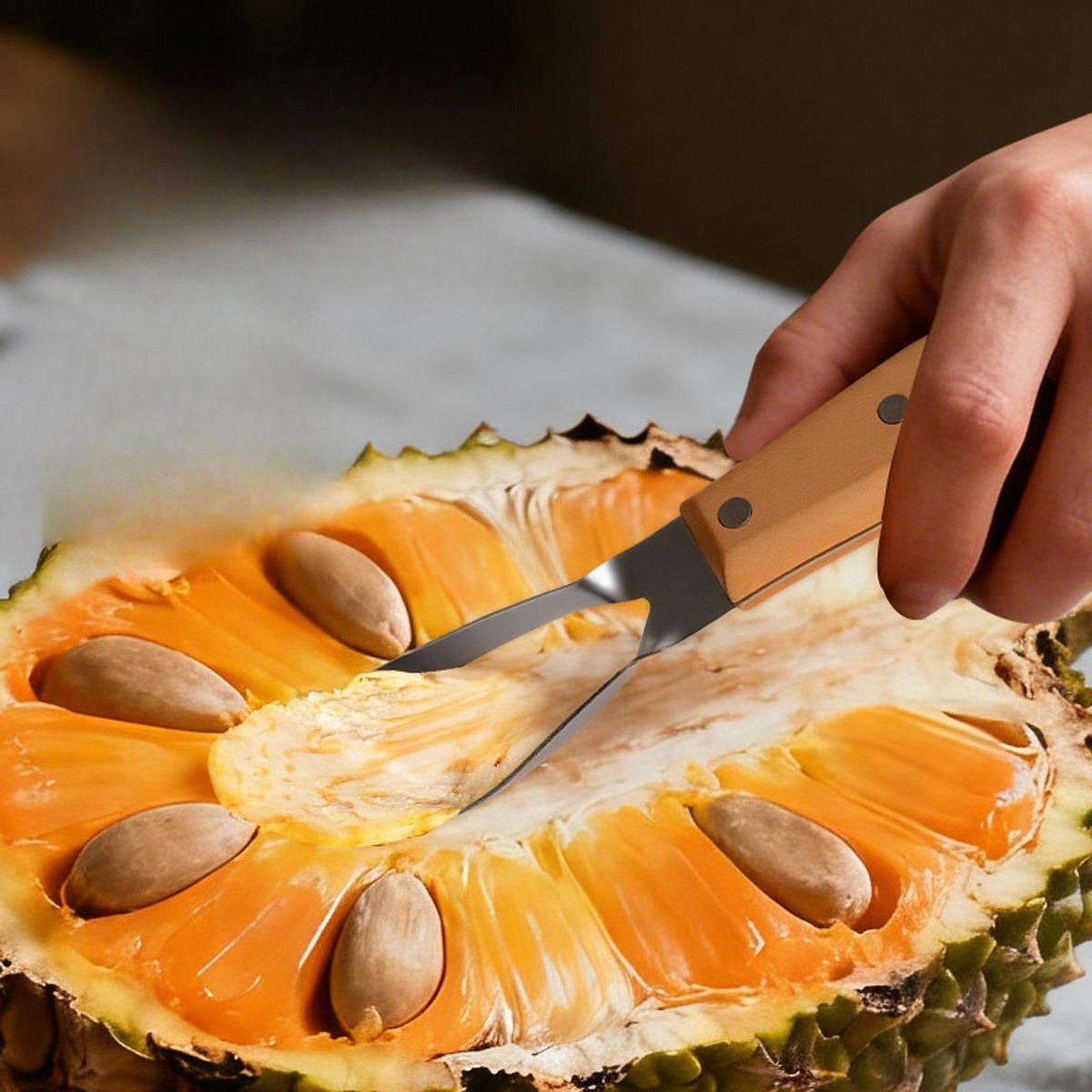 Alat Pengupas Inti Nangka, Por - Kitchen Gadgets Store ulasan dan harga