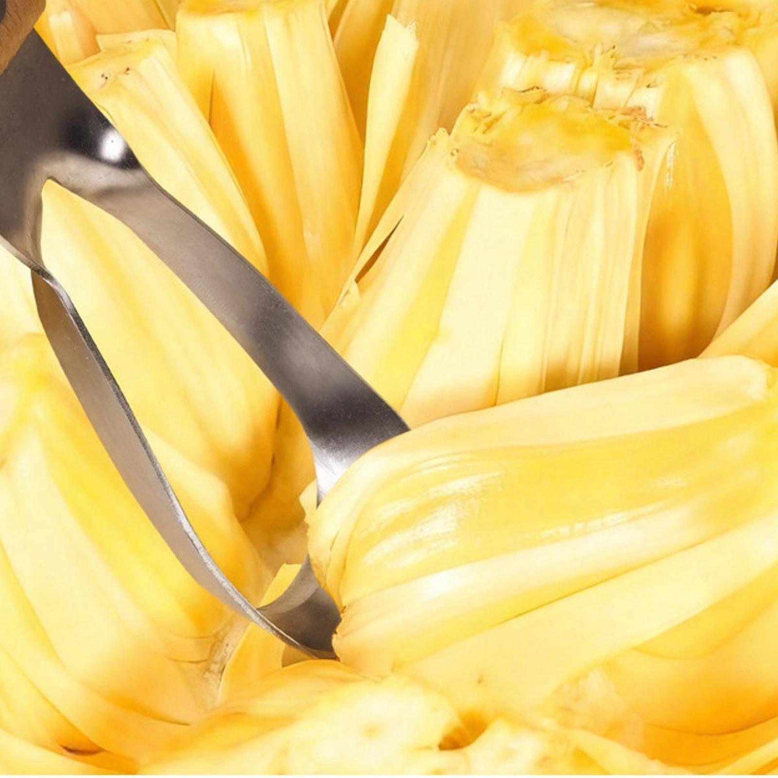 Alat Pengupas Inti Nangka, Por - Kitchen Gadgets Store ulasan dan harga
